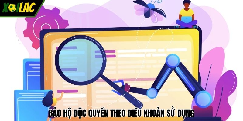 Bảo hộ độc quyền theo điều khoản sử dụng