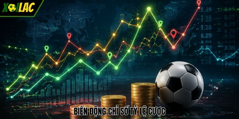 Biến động chỉ số tỷ lệ cược