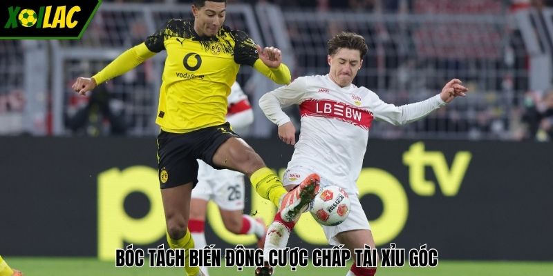 Bóc tách biến động cược chấp tài xỉu góc