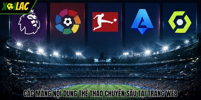 Các mảng nội dung thể thao chuyên sâu tại trang web