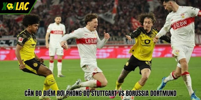Cân đo điểm rơi phong độ Stuttgart vs Borussia Dortmund