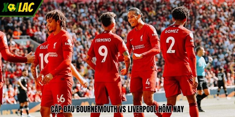 Cặp đấu Bournemouth vs Liverpool hôm nay.