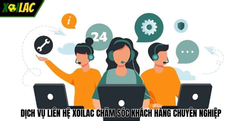 Dịch vụ liên hệ XOILAC chăm sóc khách hàng chuyên nghiệp