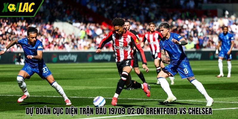 Dự đoán cục diện trận đấu 19/09 02:00 Brentford vs Chelsea