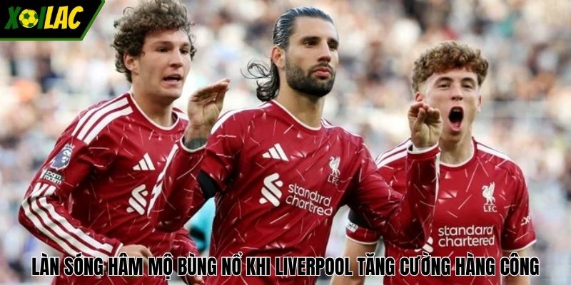 Làn sóng hâm mộ bùng nổ khi Liverpool tăng cường hàng công