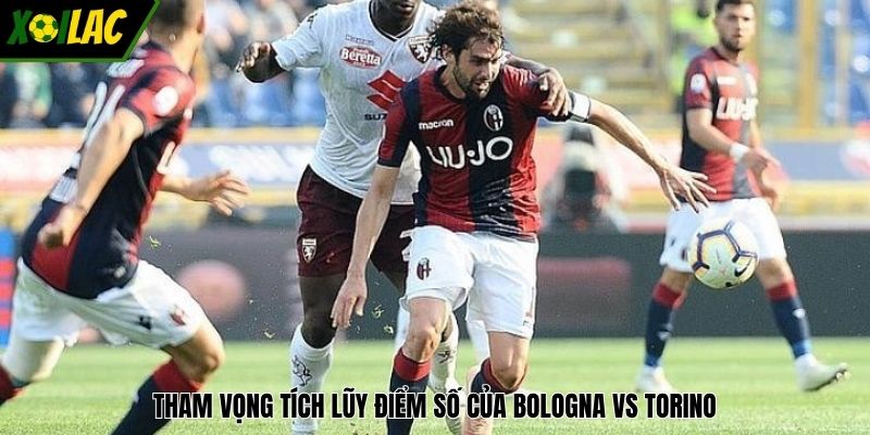 Tham vọng tích lũy điểm số của Bologna vs Torino