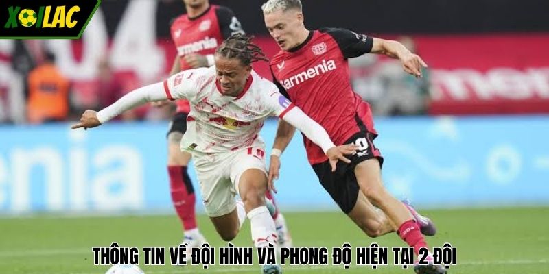 Thông tin về đội hình và phong độ hiện tại 2 đội