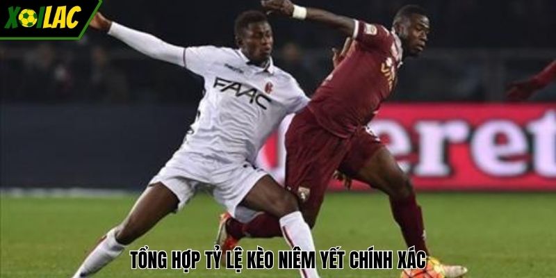 Tổng hợp tỷ lệ kèo niêm yết chính xác