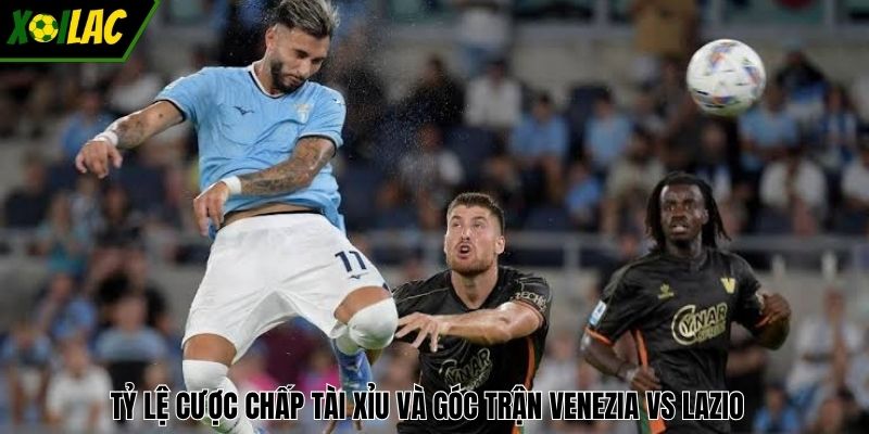 Tỷ lệ cược chấp tài xỉu và góc trận Venezia vs Lazio